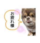 僕、イヴ君（フルversion）（個別スタンプ：31）