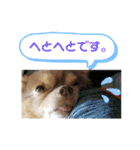 僕、イヴ君（フルversion）（個別スタンプ：33）