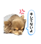 僕、イヴ君（フルversion）（個別スタンプ：34）