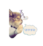 僕、イヴ君（フルversion）（個別スタンプ：39）