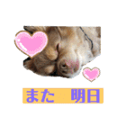 僕、イヴ君（フルversion）（個別スタンプ：40）