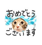 ラブリーひーちゃんスタンプ（個別スタンプ：35）