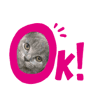コペルと一緒（個別スタンプ：1）