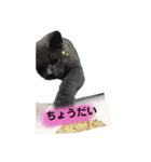 コペルと一緒（個別スタンプ：5）