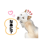 じぇいくんの日常2（個別スタンプ：17）