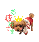 シェリーのつぶやき（個別スタンプ：6）