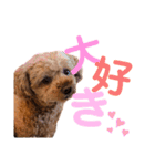 シェリーのつぶやき（個別スタンプ：24）