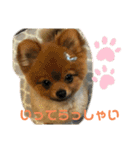 ぽんぴぃ2（個別スタンプ：1）