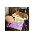 ぽんぴぃ2（個別スタンプ：7）