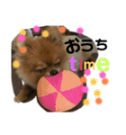 ぽんぴぃ2（個別スタンプ：11）