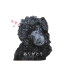 れおら‎˙ᴥ˙（個別スタンプ：6）