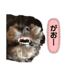 れおら‎˙ᴥ˙（個別スタンプ：9）