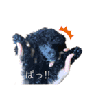 れおら‎˙ᴥ˙（個別スタンプ：23）