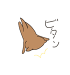 かわうそのほむちゃん2（個別スタンプ：10）