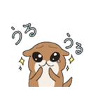 かわうそのほむちゃん2（個別スタンプ：12）