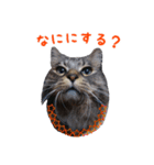にゃ～達3（個別スタンプ：29）