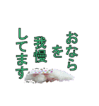 腹痛めがねうさぎさん（個別スタンプ：7）