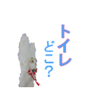 腹痛めがねうさぎさん（個別スタンプ：9）