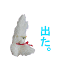 腹痛めがねうさぎさん（個別スタンプ：13）