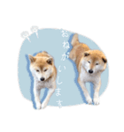 さくらあんず（個別スタンプ：8）
