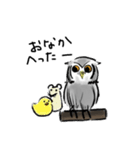 愉快なコノハズク（個別スタンプ：5）