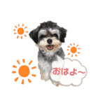 ちわぷーのぱおのスタンプ（個別スタンプ：3）