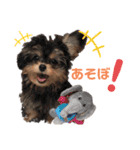 ちわぷーのぱおのスタンプ（個別スタンプ：8）