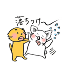 【敬語編】仲良し♡こあらっこの日常（個別スタンプ：30）