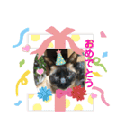 みどこ家のニャンズちゃん（個別スタンプ：28）