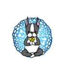 ボストンテリアさん（個別スタンプ：1）
