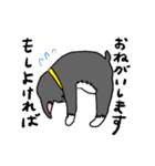 ボストンテリアさん（個別スタンプ：3）