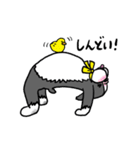 ボストンテリアさん（個別スタンプ：4）