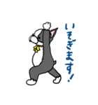 ボストンテリアさん（個別スタンプ：7）