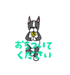 ボストンテリアさん（個別スタンプ：9）