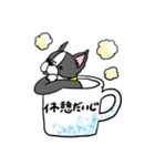 ボストンテリアさん（個別スタンプ：19）
