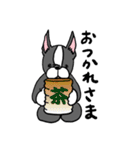 ボストンテリアさん（個別スタンプ：20）