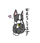 ボストンテリアさん（個別スタンプ：21）