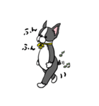 ボストンテリアさん（個別スタンプ：22）