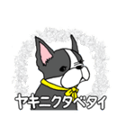 ボストンテリアさん（個別スタンプ：25）