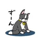 ボストンテリアさん（個別スタンプ：26）