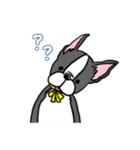 ボストンテリアさん（個別スタンプ：30）