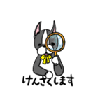 ボストンテリアさん（個別スタンプ：31）
