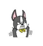 ボストンテリアさん（個別スタンプ：33）