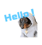 愛犬たけるstamp（個別スタンプ：10）