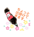 愛犬たけるstamp（個別スタンプ：11）
