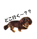 愛犬たけるstamp（個別スタンプ：24）