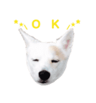 仁くんでーす！！（個別スタンプ：4）