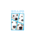 仁くんでーす！！（個別スタンプ：9）