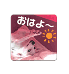 仁くんでーす！！（個別スタンプ：14）