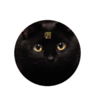 黒猫の福ちゃん④（個別スタンプ：6）